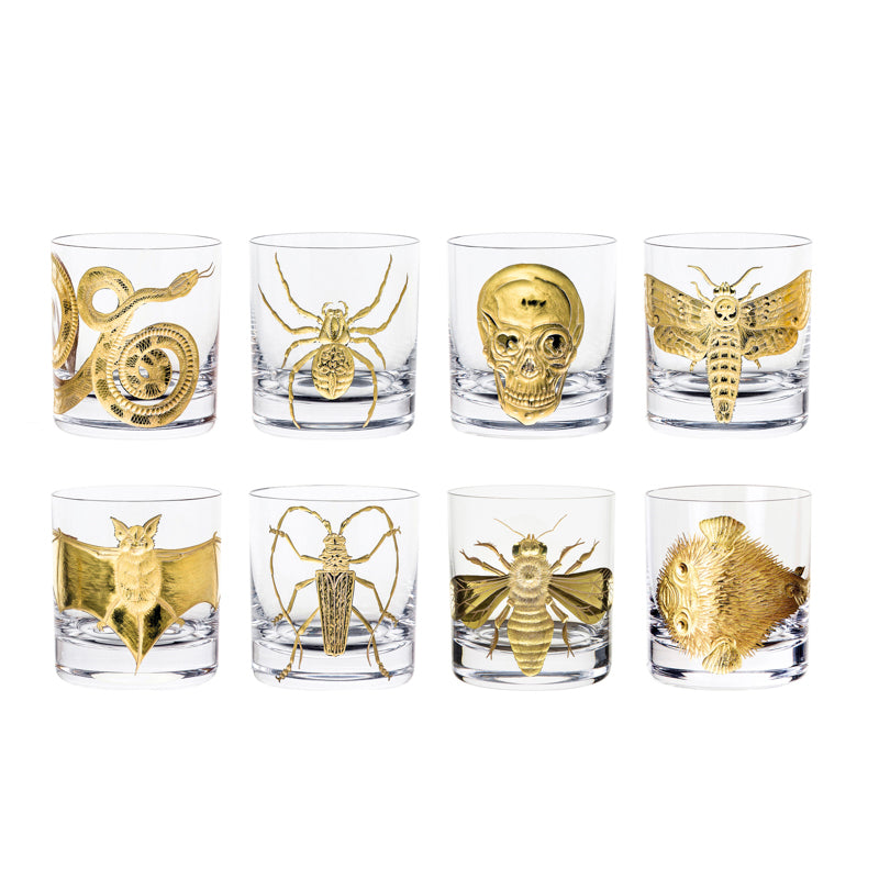Cabinet of Curiosities Butterfly