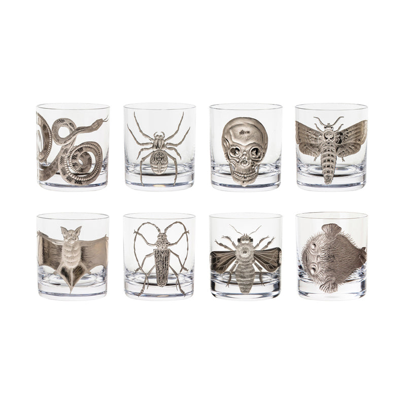 Cabinet of Curiosities Blowfish