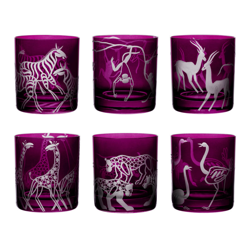Safari Giraffes