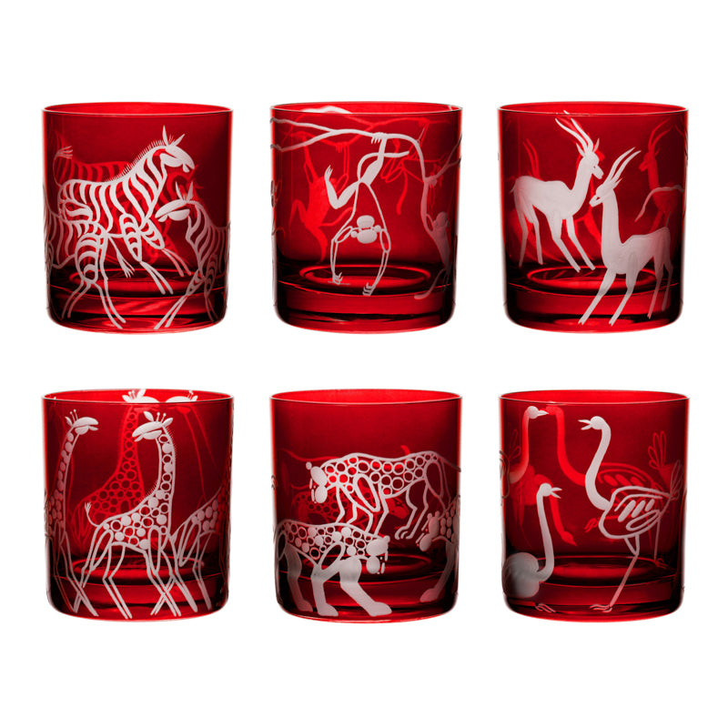 Safari Giraffes