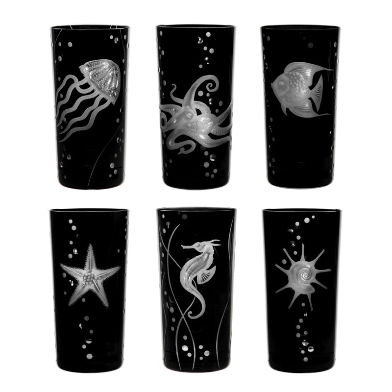 Sea Life Jellyfish