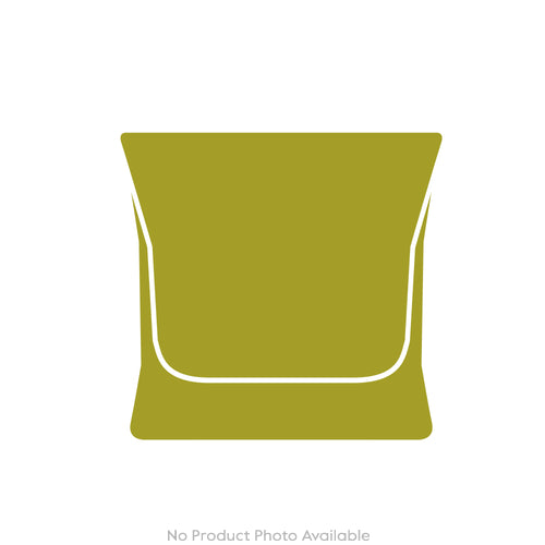 Cabinet of Curiosities Skull