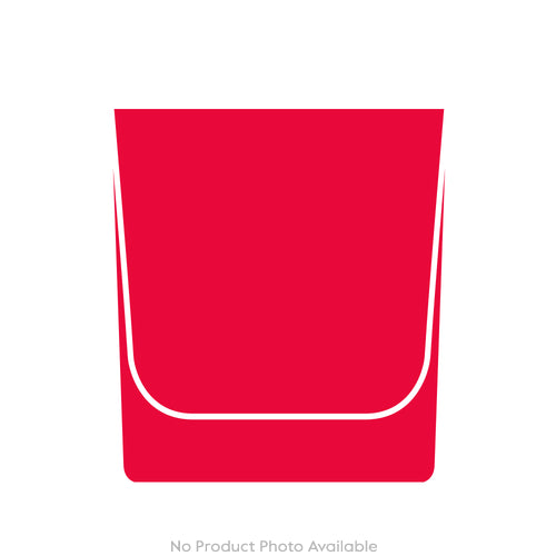 Barnyard Goose
