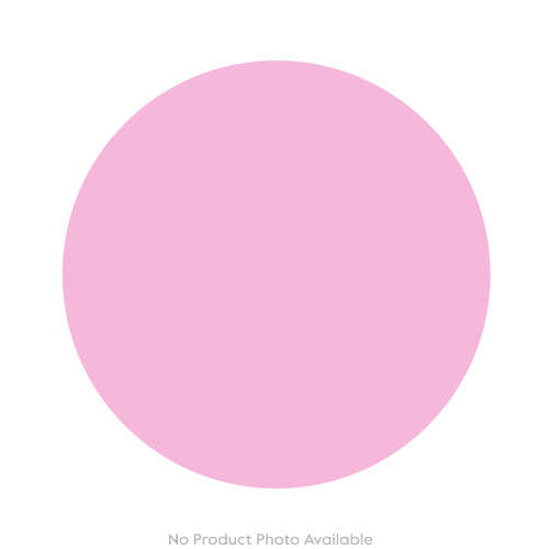 Mushrooms Morel