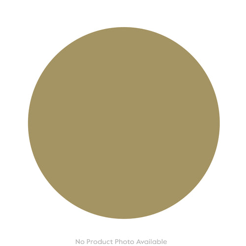 Mushrooms Fly Amanita