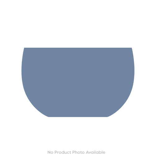 Cabinet of Curiosities Snake