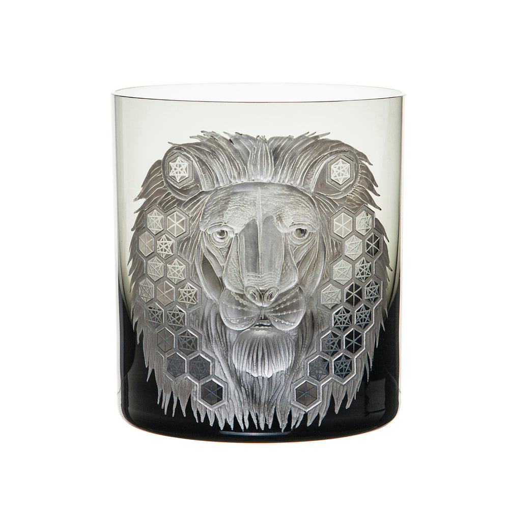 African Safari Lion