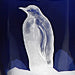 ARCTIC COLLECTION icon