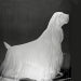 BEST OF BREED COLLECTION icon