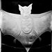 CABINET OF CURIOSITIES COLLECTION icon