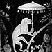 CHINOISERIE COLLECTION icon