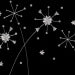 FIREWORKS icon