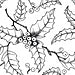 HOLIDAY COLLECTION icon