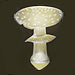 MUSHROOMS COLLECTION