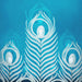PLUMAGE icon