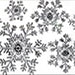 SNOWFLAKES