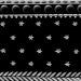 STARO icon