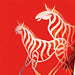 SAFARI COLLECTION icon
