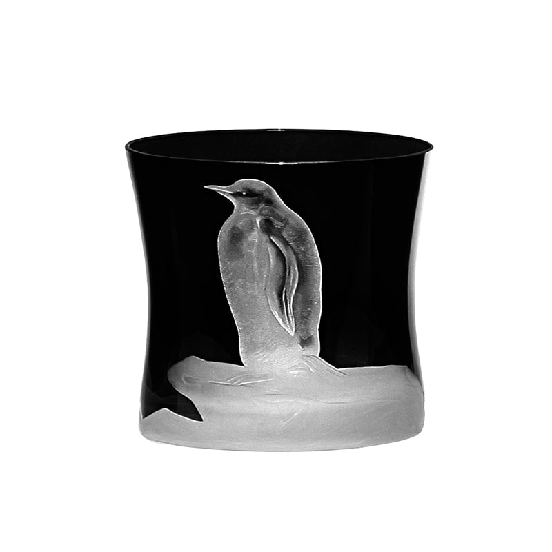 Arctic Penguin
