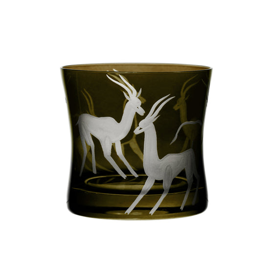 Safari Gazelles
