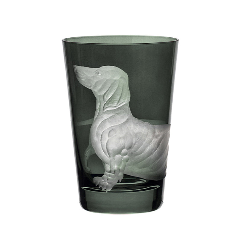 Dog Dachshund