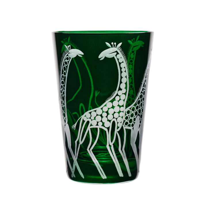 Safari Giraffes