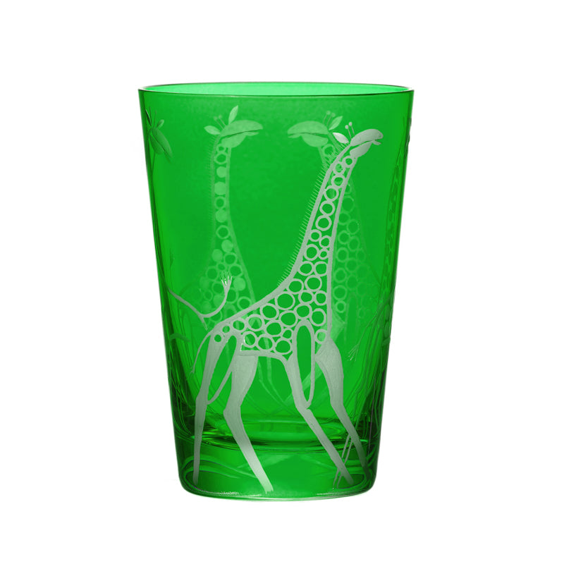 Safari Giraffes