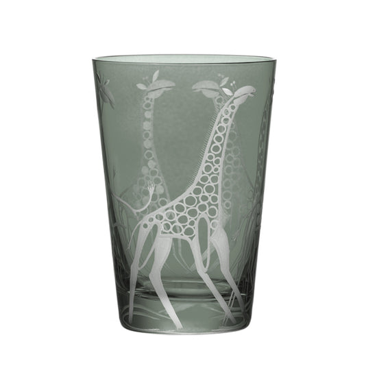 Safari Giraffes