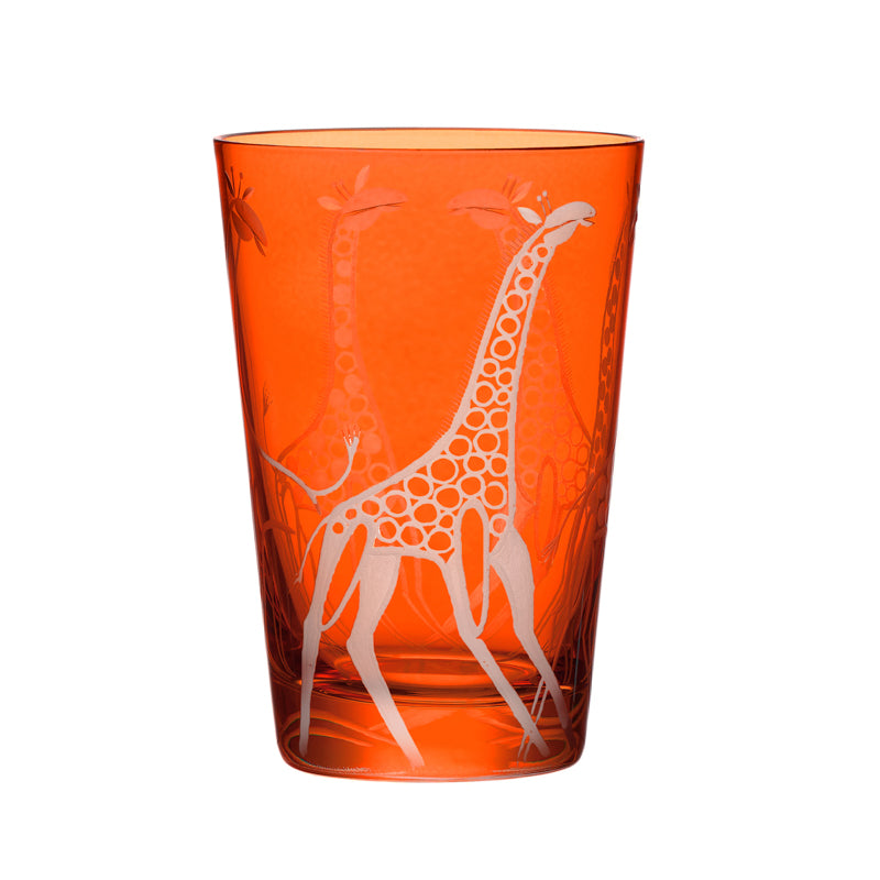 Safari Giraffes