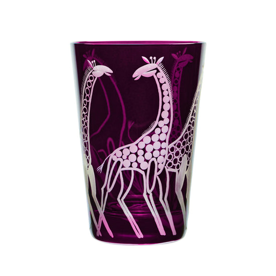Safari Giraffes