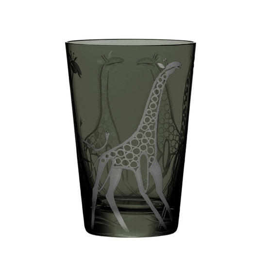 Safari Giraffes