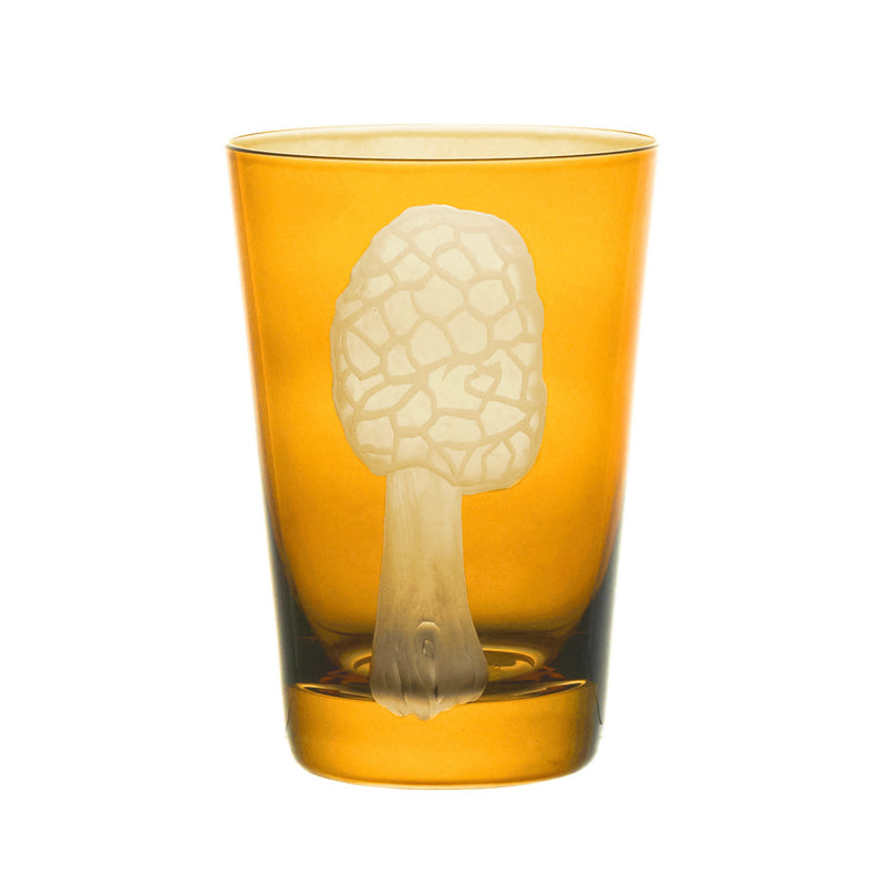 Mushrooms Morel