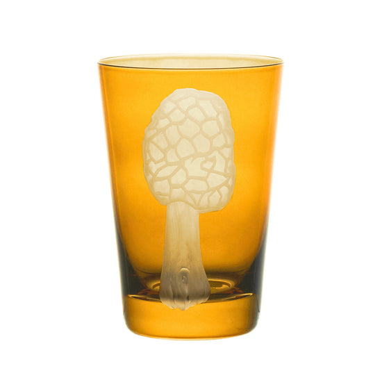 Mushrooms Morel