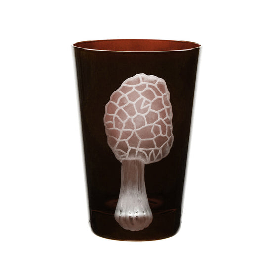 Mushrooms Morel
