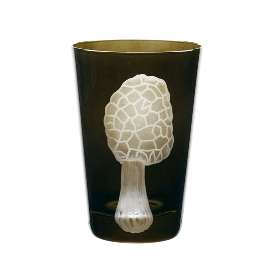 Mushrooms Morel