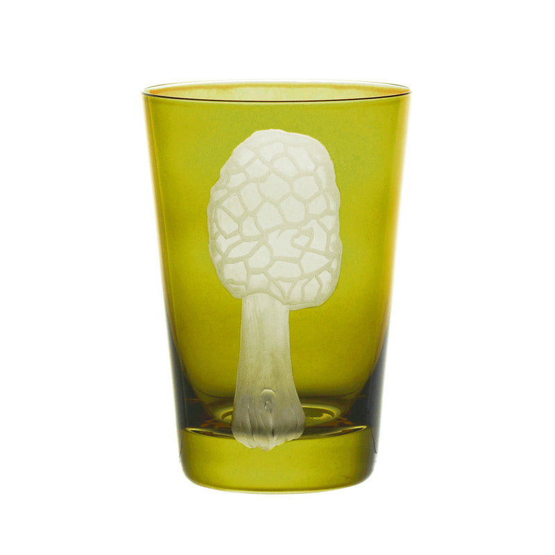 Mushrooms Morel