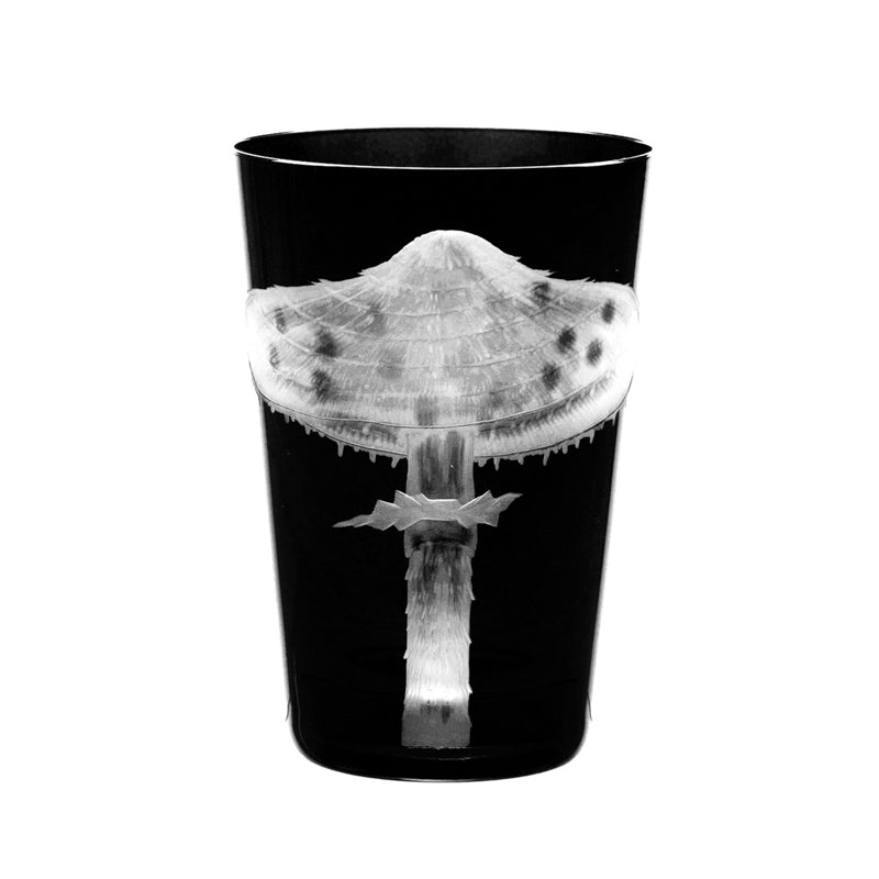 Mushrooms Parasol