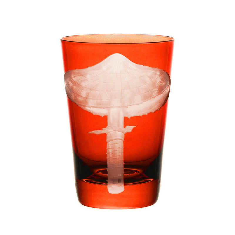 Mushrooms Parasol