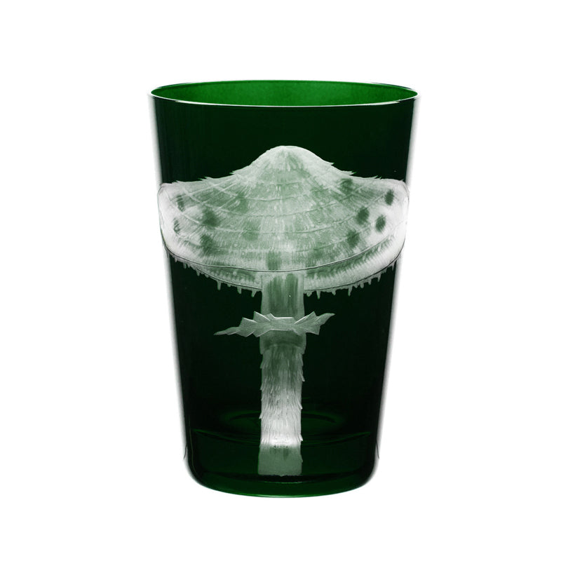 Mushrooms Parasol