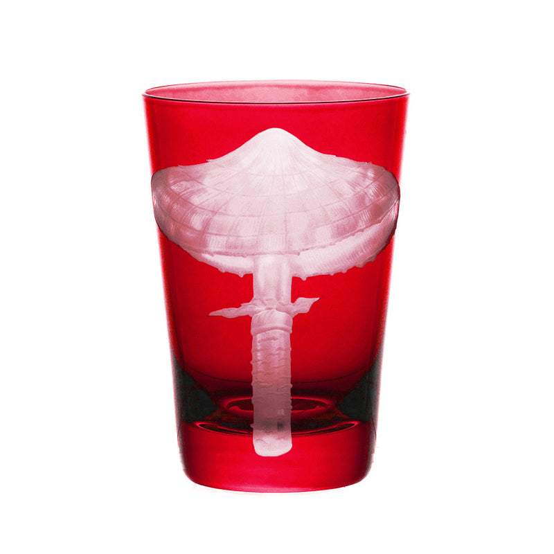 Mushrooms Parasol