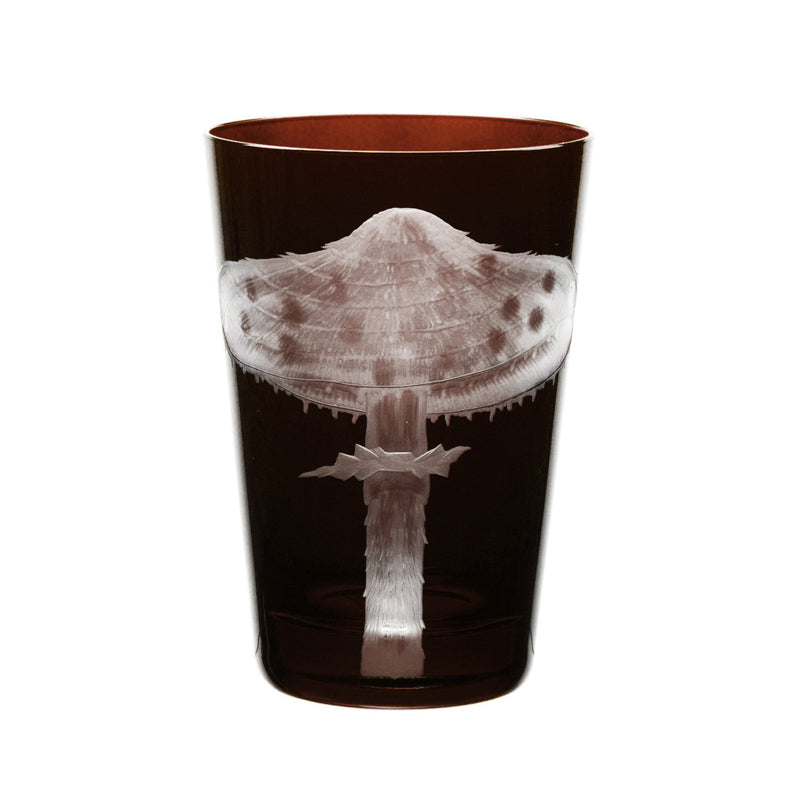 Mushrooms Parasol