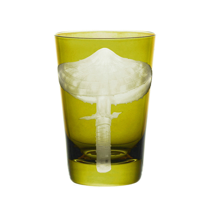 Mushrooms Parasol
