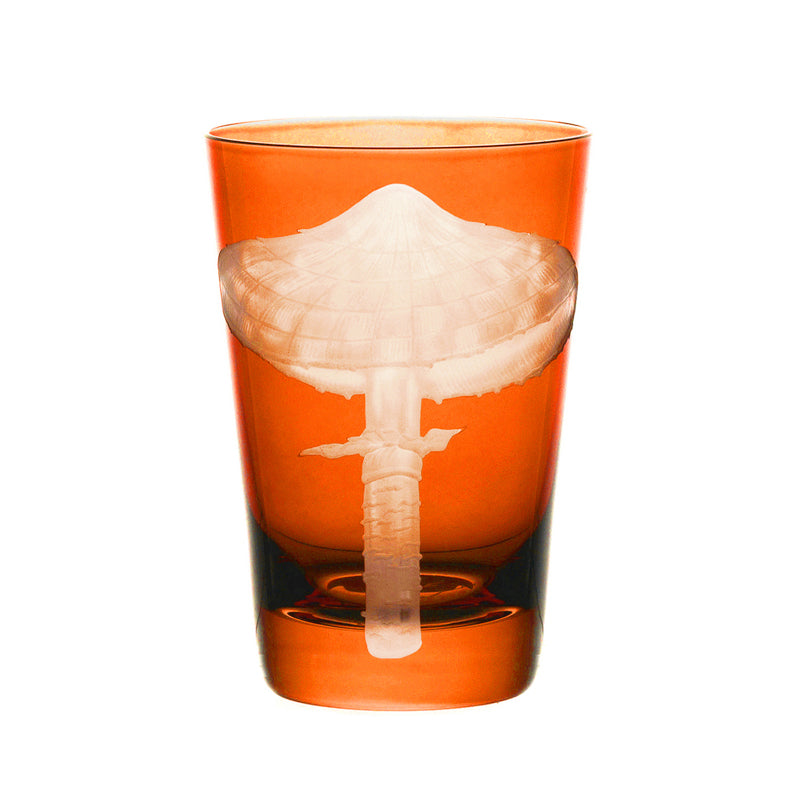 Mushrooms Parasol