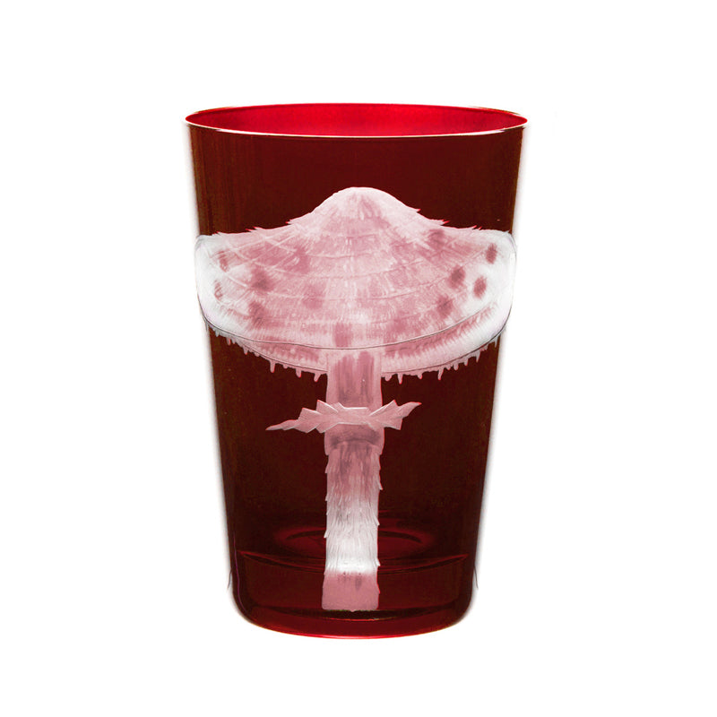 Mushrooms Parasol