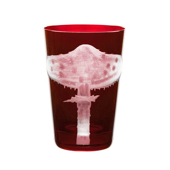 Mushrooms Parasol