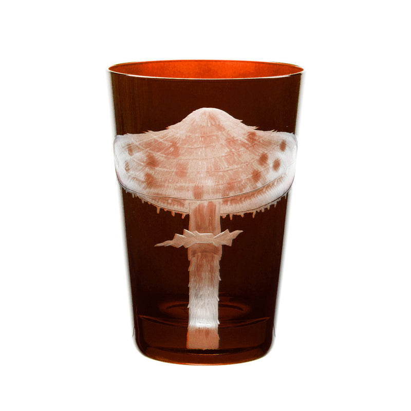 Mushrooms Parasol