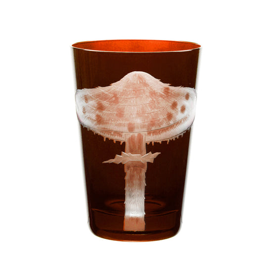 Mushrooms Parasol