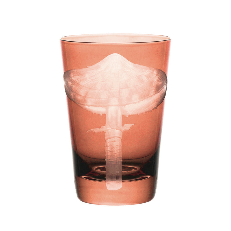 Mushrooms Parasol