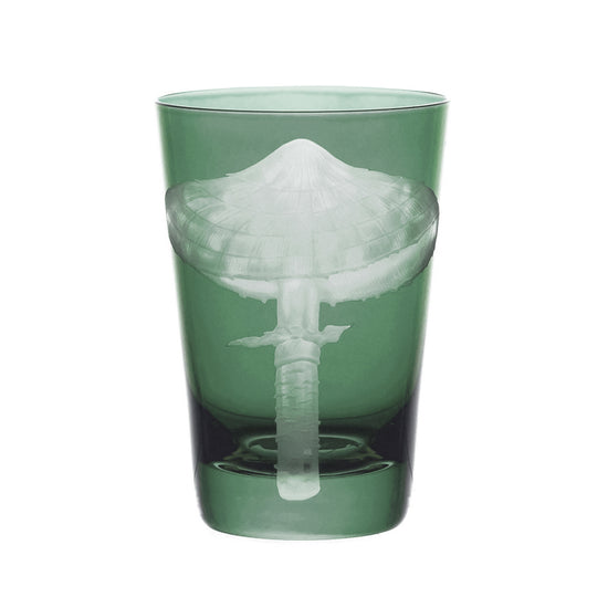 Mushrooms Parasol
