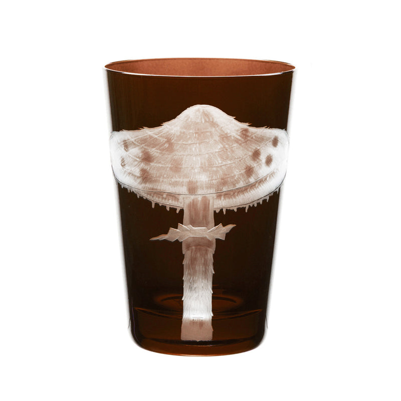 Mushrooms Parasol